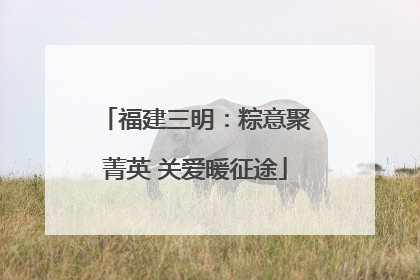 福建三明：粽意聚菁英 关爱暖征途