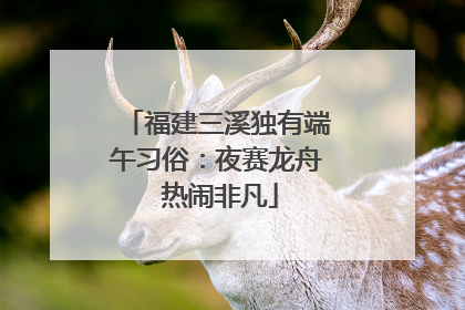 福建三溪独有端午习俗：夜赛龙舟 热闹非凡