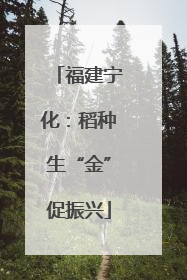 福建宁化：稻种生“金”促振兴