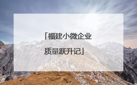 福建小微企业质量跃升记