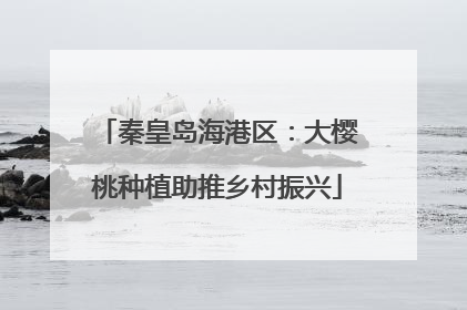 秦皇岛海港区：大樱桃种植助推乡村振兴