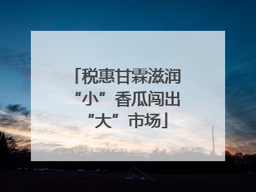 税惠甘霖滋润“小”香瓜闯出“大”市场