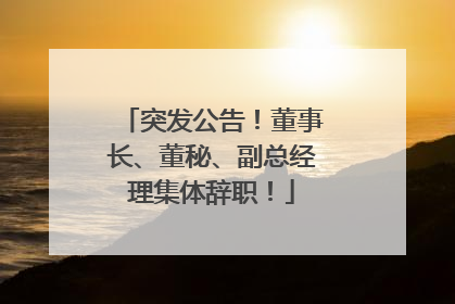 突发公告！董事长、董秘、副总经理集体辞职！
