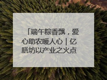 端午粽香飘，爱心助农暖人心｜亿膳坊以产业之火点亮乡村振兴路