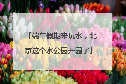 端午假期来玩水，北京这个水公园开园了