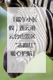 端午小长假，连云港云台山景区“志愿红”暖心护航