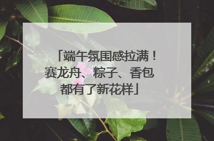 端午氛围感拉满！赛龙舟、粽子、香包都有了新花样