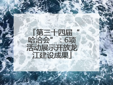 第三十四届“哈洽会”：6项活动展示开放龙江建设成果