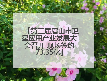 第三届眉山市卫星应用产业发展大会召开 现场签约73.35亿