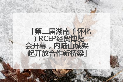 第二届湖南（怀化）RCEP经贸博览会开幕，内陆山城架起开放合作新桥梁