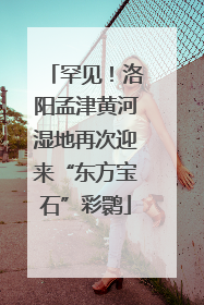 罕见！洛阳孟津黄河湿地再次迎来“东方宝石”彩鹮