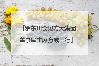 罗东川会见方大集团董事局主席方威一行