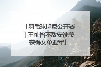 羽毛球印尼公开赛｜王祉怡不敌安洗莹 获得女单亚军