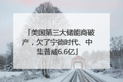 美国第三大储能商破产，欠了宁德时代、中集普威6.6亿