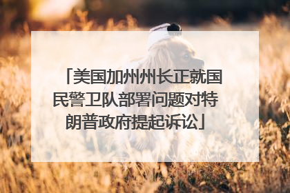 美国加州州长正就国民警卫队部署问题对特朗普政府提起诉讼