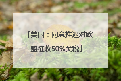 美国：同意推迟对欧盟征收50%关税