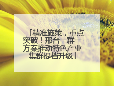 精准施策，重点突破！邢台一群一方案推动特色产业集群提档升级