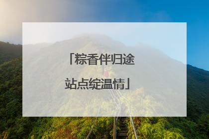 粽香伴归途 站点绽温情