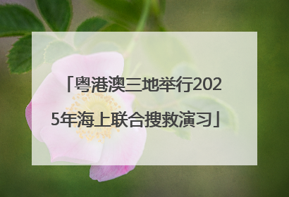 粤港澳三地举行2025年海上联合搜救演习