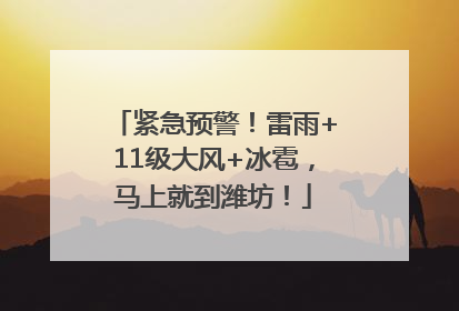 紧急预警！雷雨+11级大风+冰雹，马上就到潍坊！