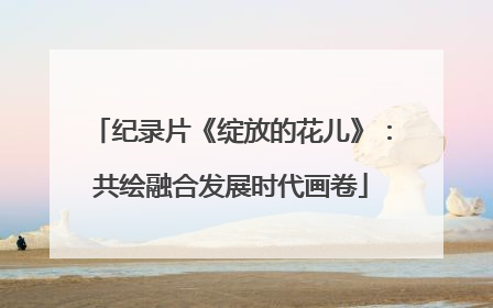 纪录片《绽放的花儿》：共绘融合发展时代画卷