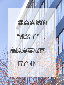 绿意盎然的“钱袋子”：高原夏菜成富民产业