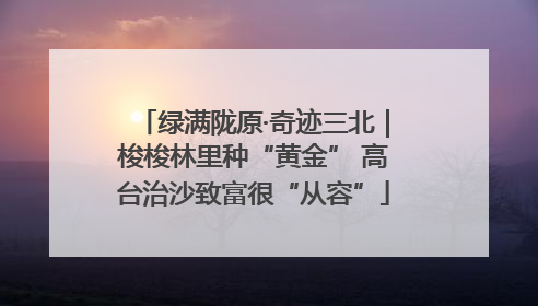 绿满陇原·奇迹三北｜梭梭林里种“黄金” 高台治沙致富很“从容”