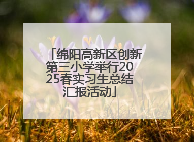 绵阳高新区创新第三小学举行2025春实习生总结汇报活动