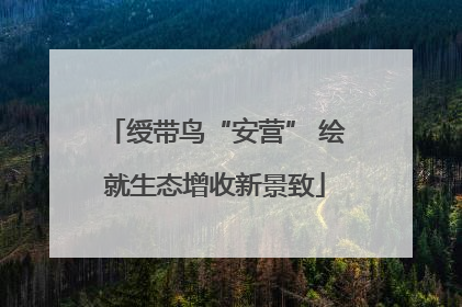 绶带鸟“安营” 绘就生态增收新景致