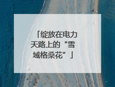 绽放在电力天路上的“雪域格桑花”