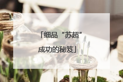 细品“苏超”成功的秘笈