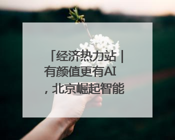 经济热力站｜有颜值更有AI，北京崛起智能算力新地标