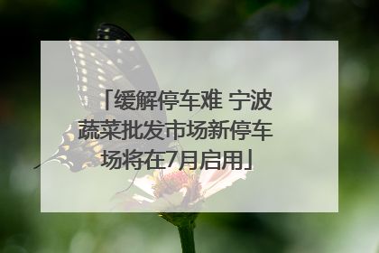 缓解停车难 宁波蔬菜批发市场新停车场将在7月启用