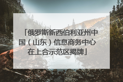 俄罗斯新西伯利亚州中国（山东）信息商务中心在上合示范区揭牌