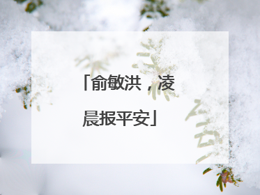 俞敏洪，凌晨报平安