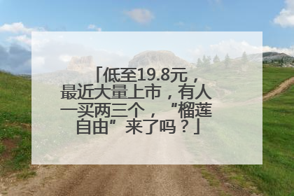 低至19.8元，最近大量上市，有人一买两三个，“榴莲自由”来了吗？