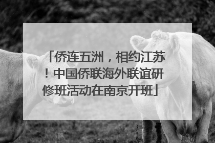 侨连五洲，相约江苏！中国侨联海外联谊研修班活动在南京开班