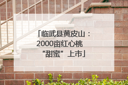 临武县黄皮山：2000亩红心桃“甜蜜”上市