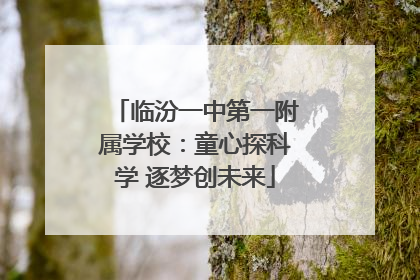 临汾一中第一附属学校：童心探科学 逐梦创未来