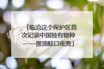 临沧这个保护区首次记录中国独有物种——黑顶蛙口夜鹰