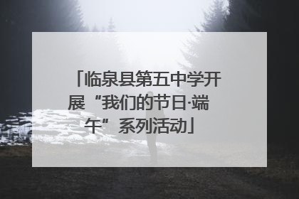 临泉县第五中学开展“我们的节日·端午”系列活动