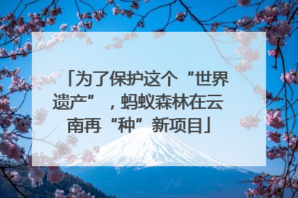 为了保护这个“世界遗产”，蚂蚁森林在云南再“种”新项目