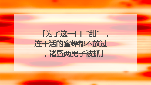 为了这一口“甜”，连干活的蜜蜂都不放过，诸暨两男子被抓