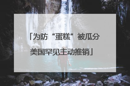 为防“蛋糕”被瓜分 美国罕见主动推销