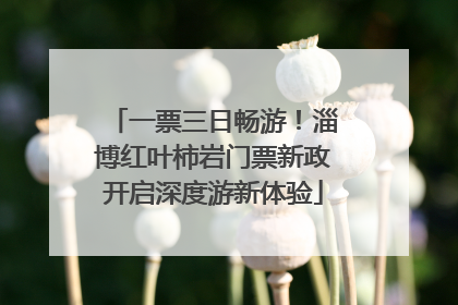 一票三日畅游！淄博红叶柿岩门票新政开启深度游新体验