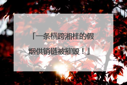 一条横跨湘桂的假烟供销链被摧毁！