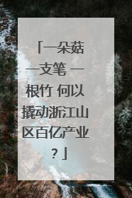 一朵菇 一支笔 一根竹 何以撬动浙江山区百亿产业？