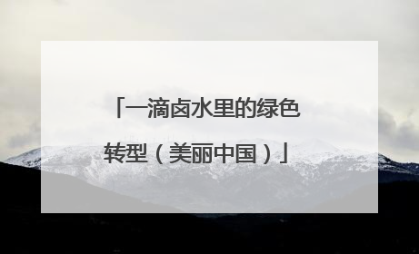 一滴卤水里的绿色转型（美丽中国）