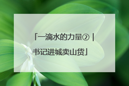一滴水的力量②｜书记进城卖山货