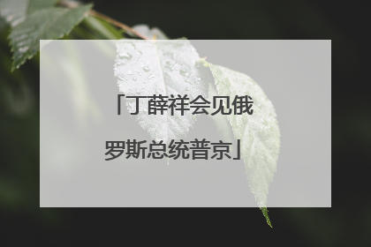 丁薛祥会见俄罗斯总统普京